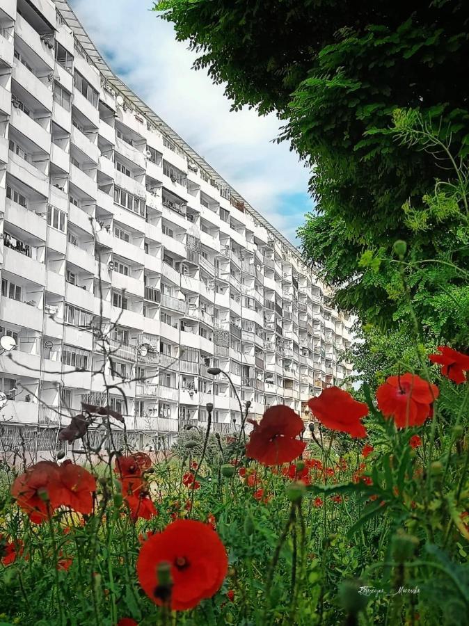 Apartament Wiewiorka Apartment Гданск Екстериор снимка
